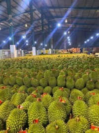 Durian