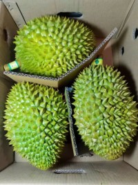 Durian