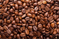 Coffee Beans and Cash Crops