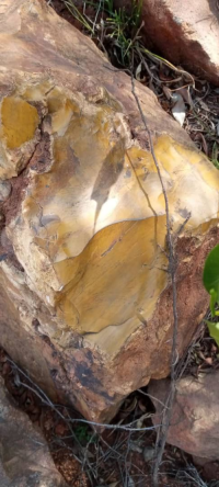 Yellow jasper